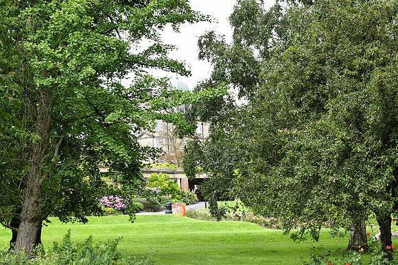 Harrogate (87 of 155)