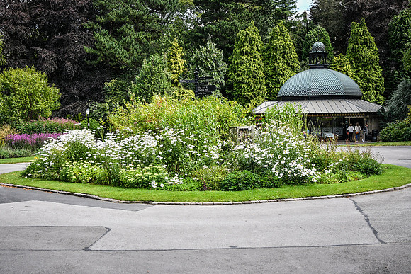 Harrogate (93 of 155)