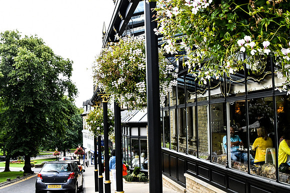 Harrogate (150 of 155)