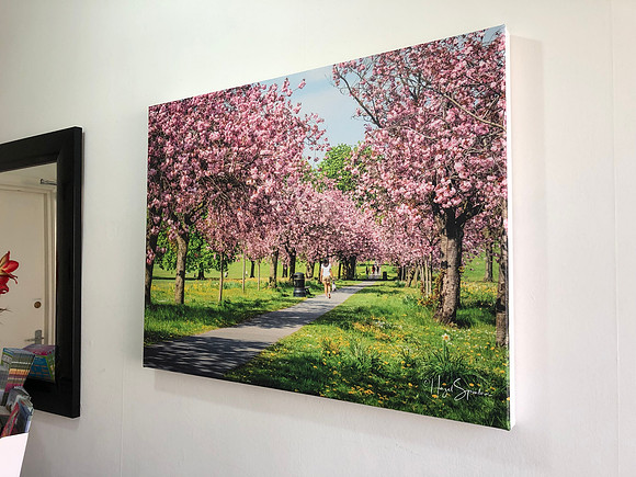 80cm x 60cm canvas