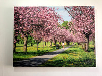 60cm x 80cm canvas