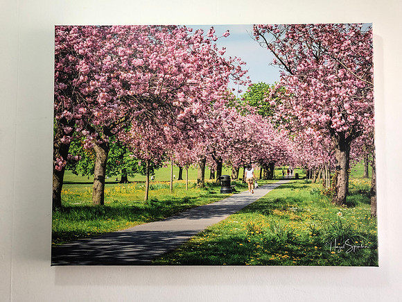 60cm x 80cm canvas