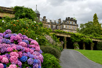 Harrogate (57 of 155)