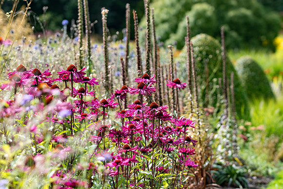 Harlow Carr - Sept (43 of 105)