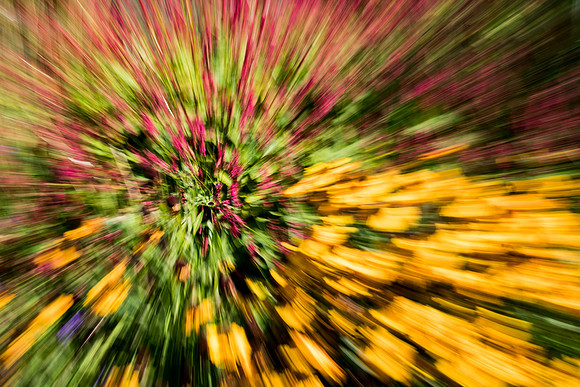 Harlow Carr - Sept (8 of 105)