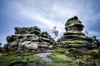 Brimham Rocks - 2019 (20 of 26)