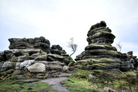Brimham Rocks - 2019 (22 of 26)