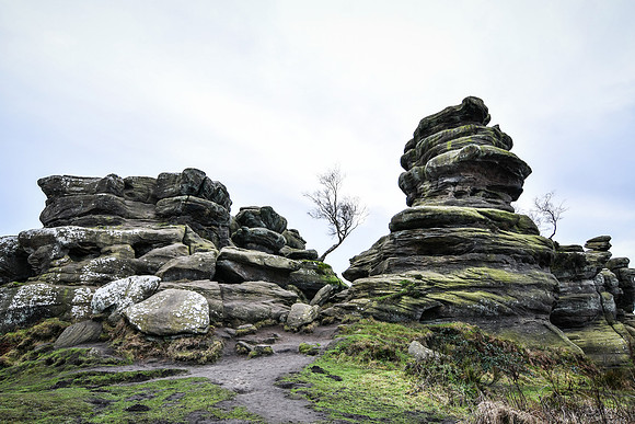 Brimham Rocks - 2019 (22 of 26)