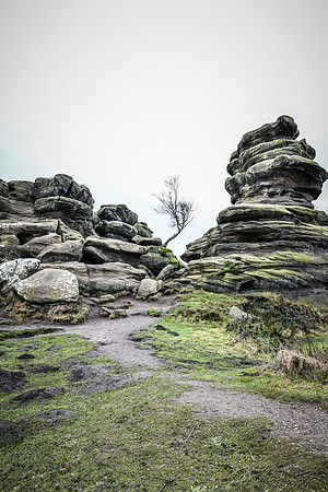 Brimham Rocks - 2019 (25 of 26)