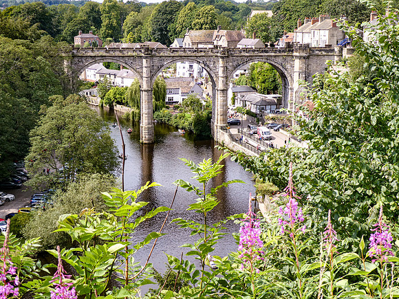 Knaresborough High Bridge flower foreground