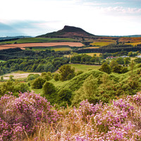 2015-07-16-0042-roseberry topping-Edit crop