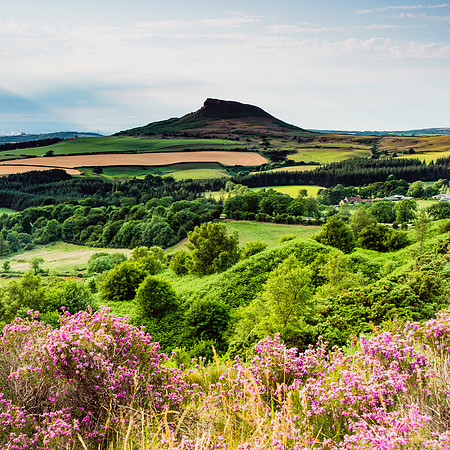 2015-07-16-0042-roseberry topping-Edit-2 - square crop