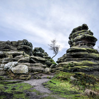 Brimham Rocks