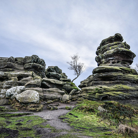 Brimham Rocks