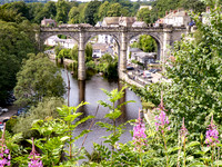Knaresborough High Bridge flower foreground