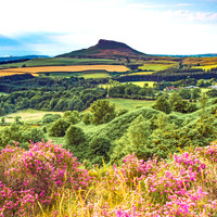 2015-07-16-0042-roseberry topping-Edit crop2