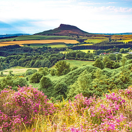 2015-07-16-0042-roseberry topping-Edit crop2