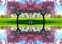 Digital art, HDR etc