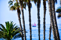 Red sails in Tenerife