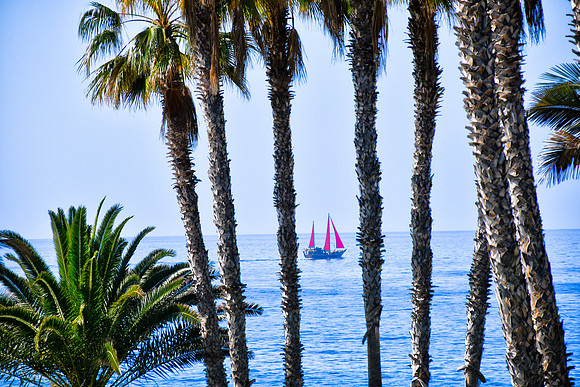 Red sails in Tenerife