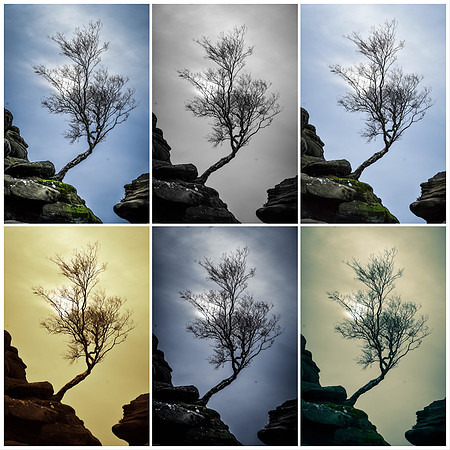 Brimham Rocks