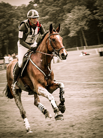 Bramham-360