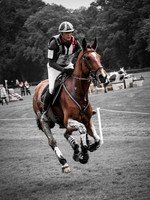 Bramham (7 of 12)
