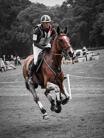 Bramham (7 of 12)