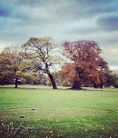 Golf course