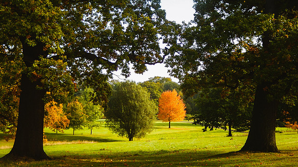 Autumn golf course (4 of 17)