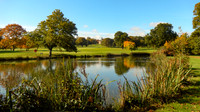 Autumn golf course (11 of 17)