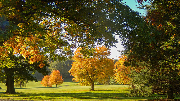 Autumn golf course (8 of 17)