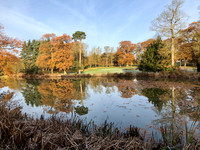 Winter reflections and the last of the Autumn leaves