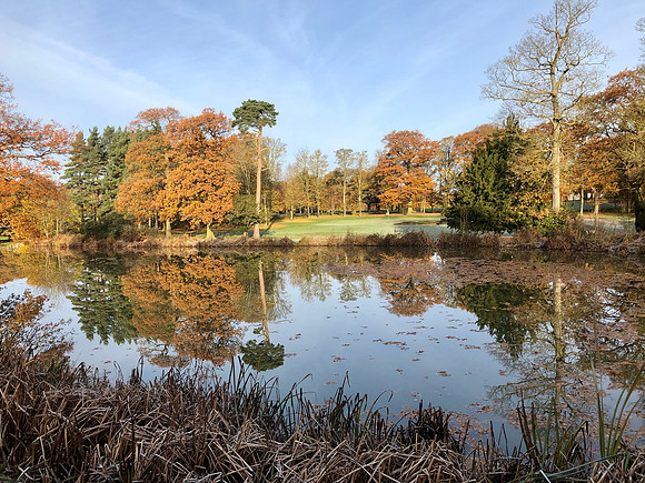 Winter reflections and the last of the Autumn leaves