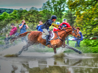 Horses