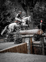 Bramham (9 of 12)