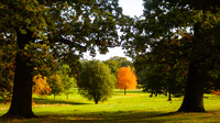 Autumn golf course (4 of 17)