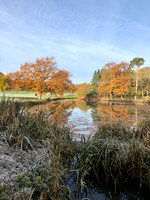 Rudding Park Autumn to winter