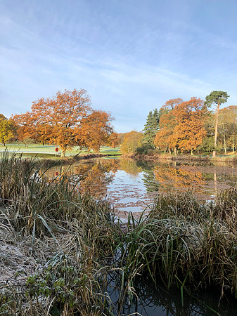 Rudding Park Autumn to winter