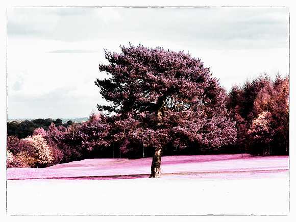 DSCN1489-Edit-Edit