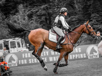 Bramham (8 of 12)