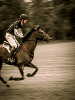 Bramham (6 of 12)