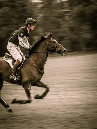 Bramham (6 of 12)