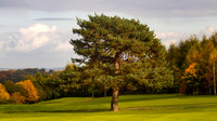 Autumn golf course (17 of 17)
