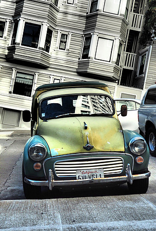 San Fran beetle
